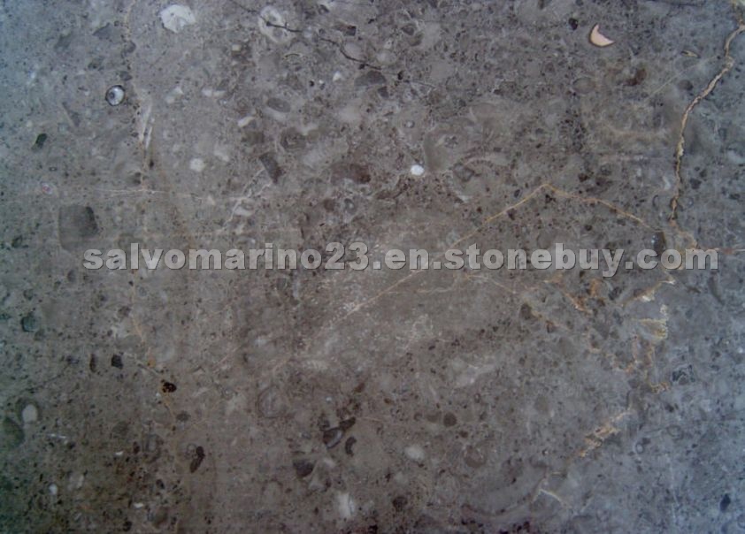 Grigio Billiemi marble