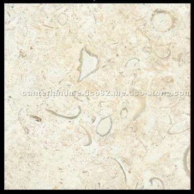 Coquina Limestone