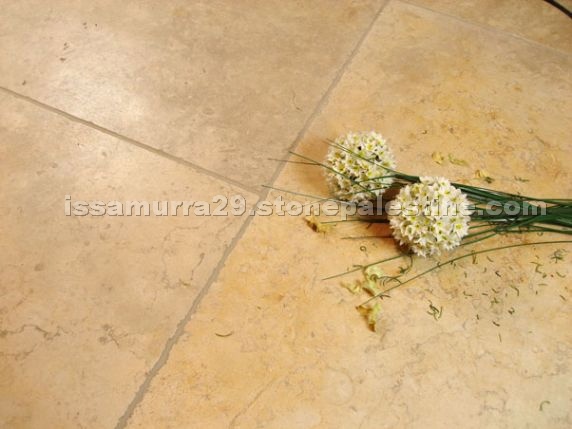 Jerusalem Grey Gold Limestone