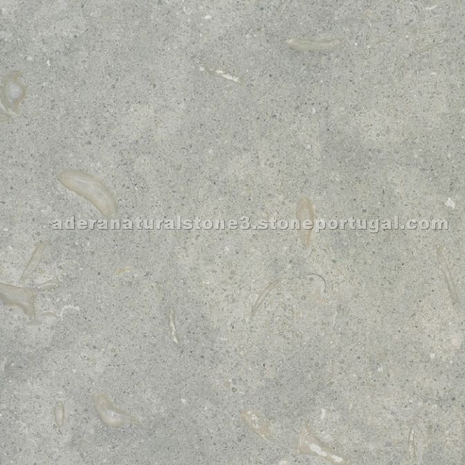 Seagrass Limestone