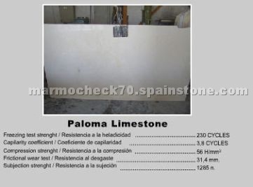Paloma Limestone