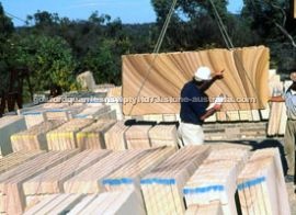 Sell Mount White sandstone Slabs