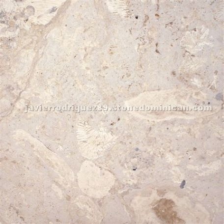 Coral Stone