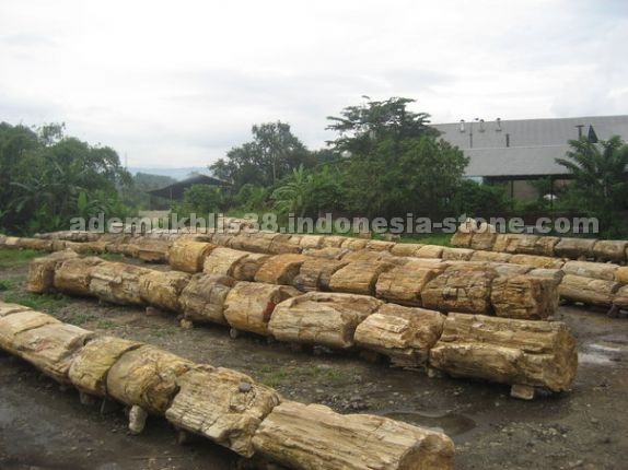 Petrified Wood and Garden Stones