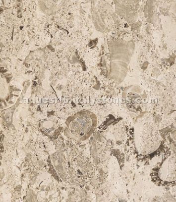 Aurisina Fiorita Lumachella Marble