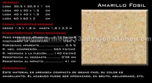 Amarillo Fossil Limestone