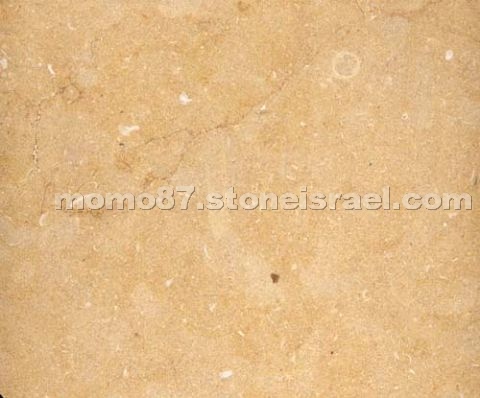 Halila Gold Light Limestone
