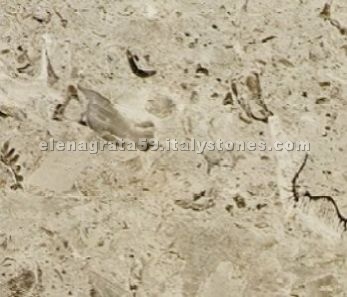 Aurisina Fiorita Limestone