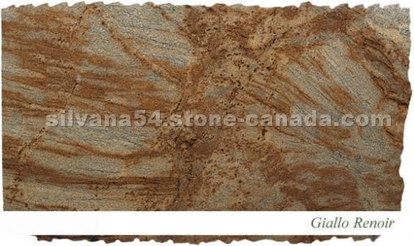 Giallo Renoir Granite Slabs