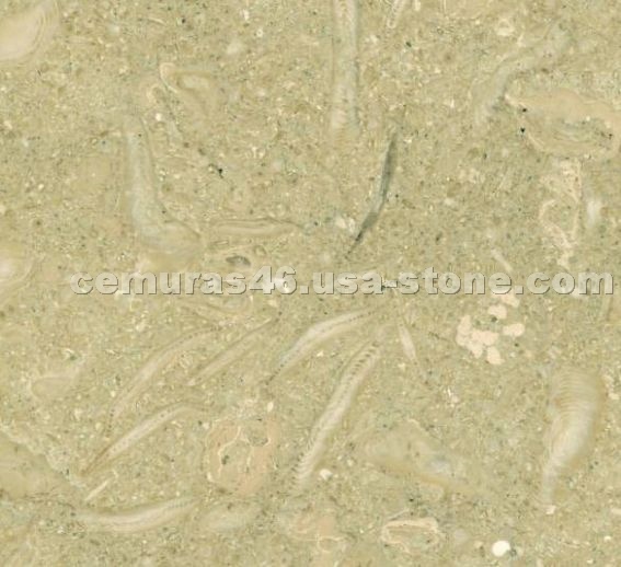 Green Fossil Marble