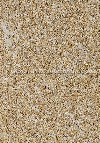 Ionian Coral Stone - Pietra Leccese