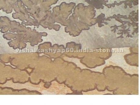 Sandstone, fossile stone, natural stone