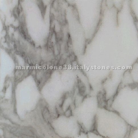 Arabescato Vagli Marble Arabescato Vagli Marble