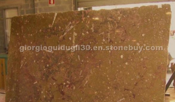 Brown Fossile Marble slabs