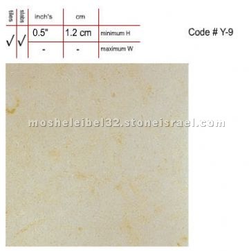 Etzion Yellow Limestone