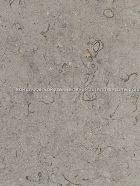 Transilvania gray limestone