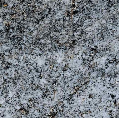 Beola Grigia Granite Beola Grigia Granite
