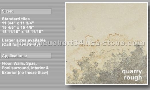 Solnhofen Stone Fossilstone
