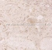 Lymra Fossil Limestone