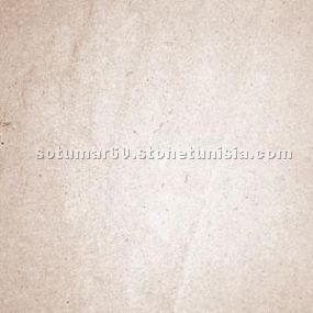 Carthage Brown Marble