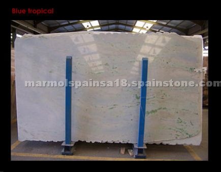 Blue Tropical Marble