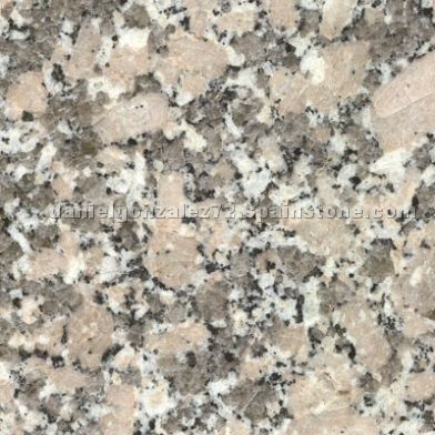 Gris Mondariz (Grey Mondariz) granite