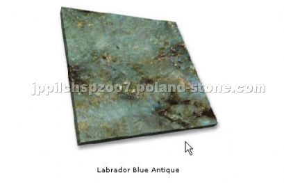 Labrador Blue Antique