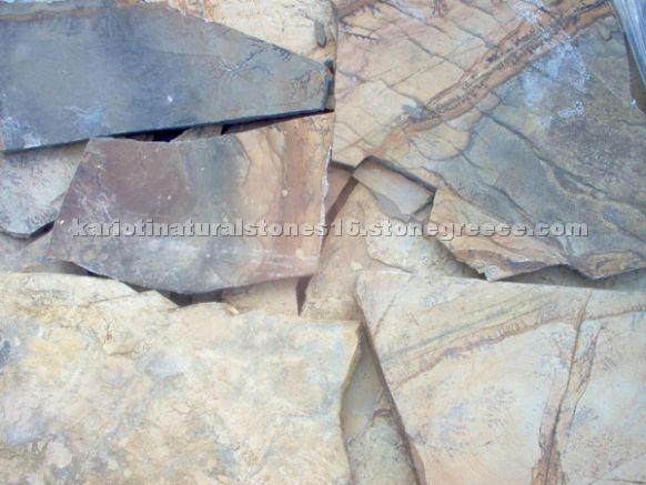 Flagstone Fossil
