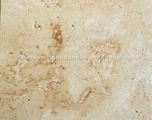 Coralina Beige Polished Coral Stone