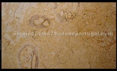 Amarelo Negrais Marble