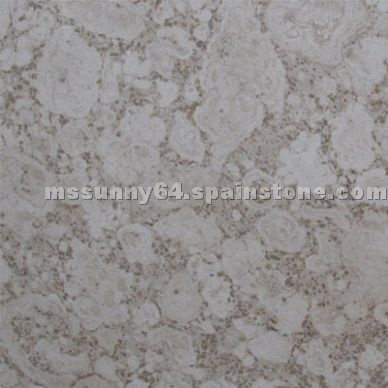 Paris Beige