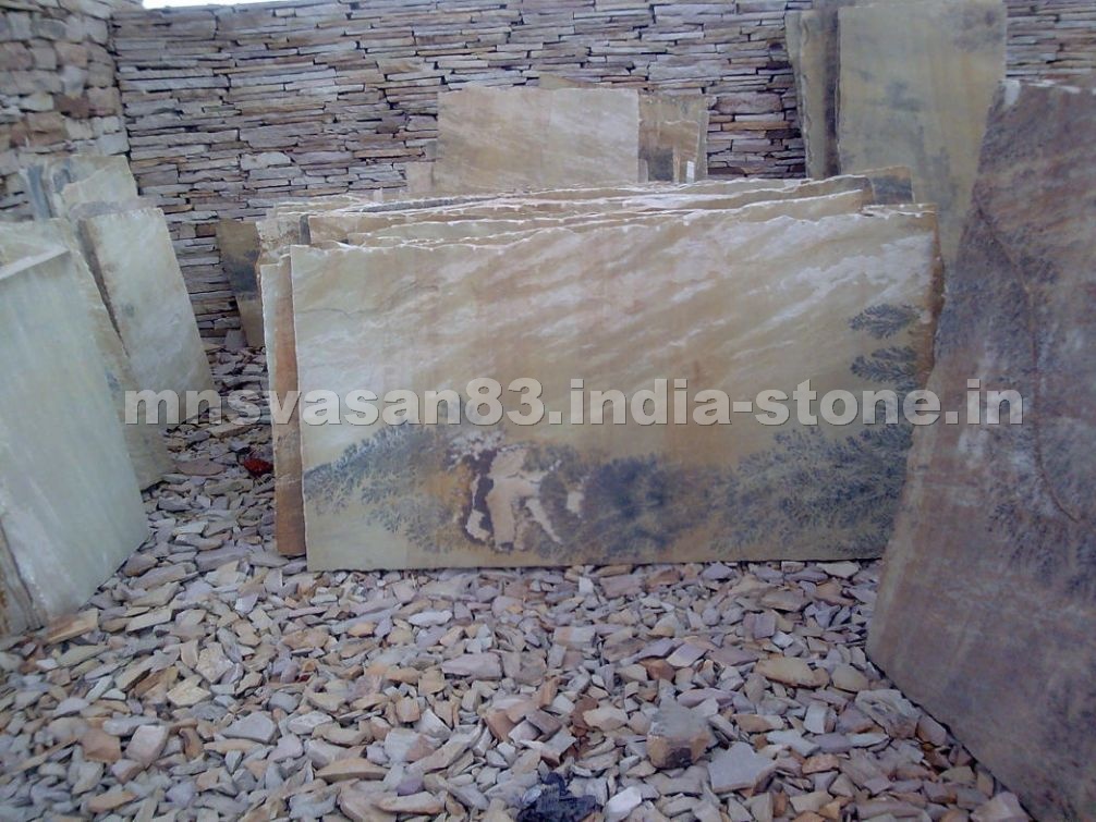 Fossil Sandstone