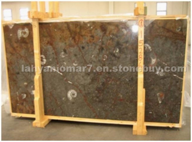 Fossile Marrone Slabs
