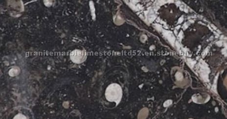Fossil Brown Limestone