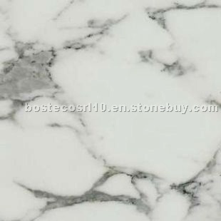 Arabescato Cervaiole Marble Arabescato Cervaiole Marble