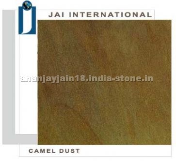 Camel Dust Sandstone