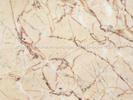 Alpinina Limestone