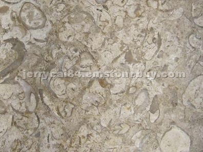 Shell Brown