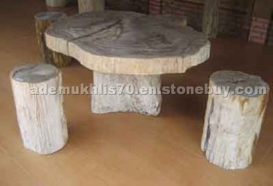 Petrified wood table slab