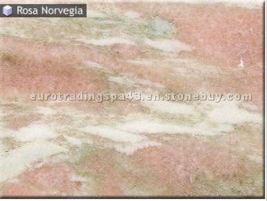 Rosa Norvegia Marble
