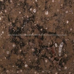 Fray fosil Limestone