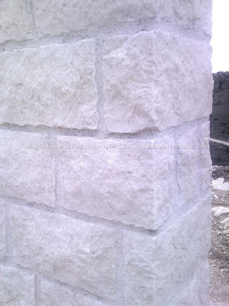 Limestone Mushroom Stone
