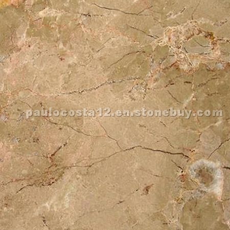 Brecha Tavira Rose