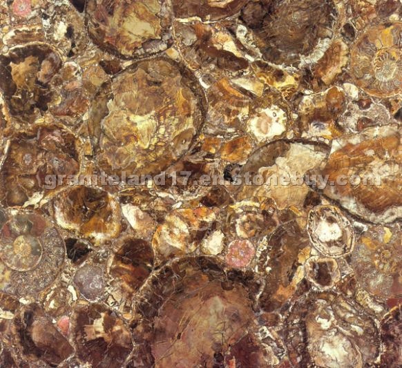 Brown Petrified Wood-Semiprecious stones
