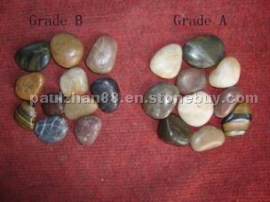 Five Polished Pebbles Five Polished Pebbles