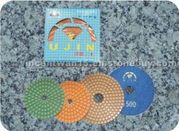 Diamond Polishing Pad