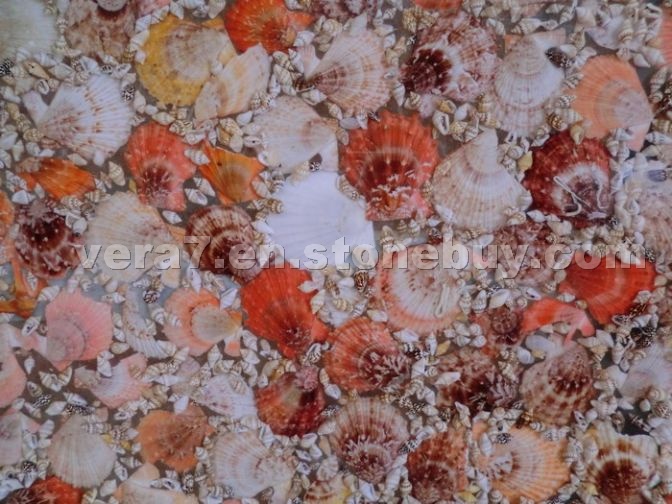 Shell precious stone Shell precious stone
