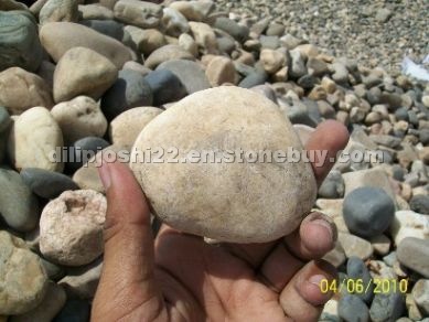 PEBBLES