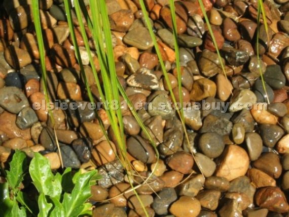 Autum Colours (Wet) Pebble Stone