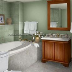 Marble Bathtub Surround